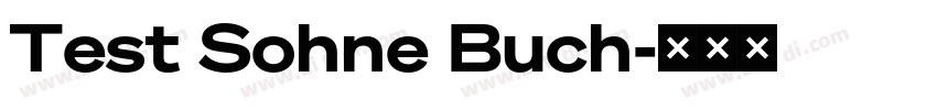 Test Sohne Buch字体转换